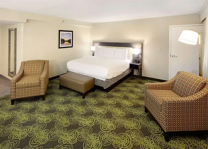 Hilton Garden Inn Reagan National AirportAirport Hotel